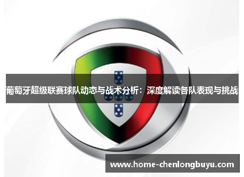 葡萄牙超级联赛球队动态与战术分析：深度解读各队表现与挑战